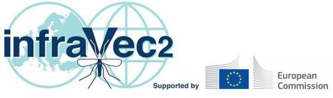 InfraVec2 Logo